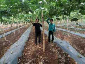 PNS YANG BERJIWA PETANI DARI BANJAR AGUNG