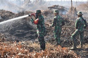 TNI Berjibaku Dengan Asap, Dandim Ketapang Turun Langsung Padamkan Api