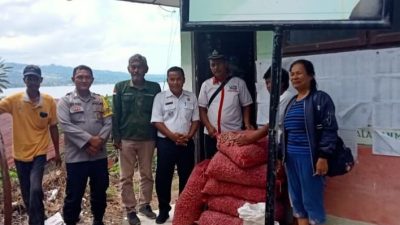 Bhabinkamtibmas Polres Samosir Pantau Penyaluran Bibit Bawang Merah Dari Dana Desa Tanjung Bunga TA 2024