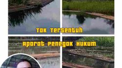 LSM Lingkungan Hidup Desak Aparat Penegak Hukum Tangkap Perambah Hutan Suaka Margasatwa Kerumutan